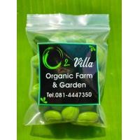 ราคา สะตอแกะเม็ด สะตอปักษ์ใต้ สะตอข้าว คัดเมล็ด บรรจุถุงซิปล็อกจำนวน 100 กรัม เม็ดใหญ่ สด ไม่แช่น้ำ สะอาด ปราศจากหนอน สะดวกรวดเร็วในการประกอบอาหาร รสชาติอร่อย หวาน มัน กรอบ (8809207551)