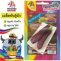 ราคา ขายปลีก เมล็ดพันธุ์ ผัก แพ็ค5ซอง ตราม้ารุ้ง Z060 มะเขือยาวม่วง เมล็ดพันธุ์ เมล็ดผัก ผักซอง ม้ารุ้ง ผักสวนครัว (24517271059)