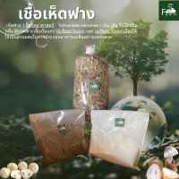 ราคา เชื้อเห็ดฟาง ชุดละ 69 บาท เชื้อ 1 ก้อน และอาหารเสริม 2 อย่าง พร้อมคู่มือการปลูก (23022044430)