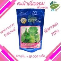 ราคา คะน้าหวาน คะน้าเห็ดหอม คะน้าฮ่องกง (23138387461)