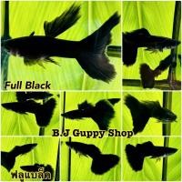 ราคา ปลาหางนกยูง ฟลูแบล็ค แถม อาหารปลาหางนกยูง ไฮเกรด ทุกกล่อง (21349152145)