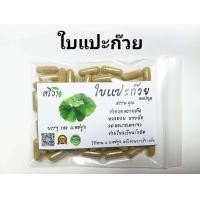 ราคา ใบแปะก๊วยแคปซูล บรรจุ 100 แคปปซูล (24460827563)