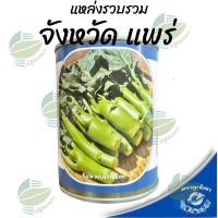 ราคา คะน้าเห็ดหอม คะน้าหวาน คะน้าฮ่องกง ตราลูกโลก Mushroom Kale (22848858255)