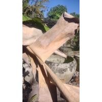 ราคา ใบตองกล้วยน้ำแห้ง ใช้หมักปลากัด รักษาโรคปลา รักษาแผล รักษาเกล็ด 1 ชุดมี 5 ใบ ทาง (23592263592)