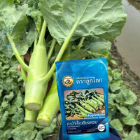 ราคา คะน้าหวาน คะน้าเห็ดหอม คะน้าฮ่องกง คะน้าเห็ดเชียงหอม ตราลูกโลก (22893454430)