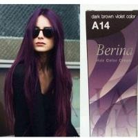 ราคา ครีมย้อมผมเบอริน่า A14 น้ำตาลเข้มประกายม่วง (2310858779)