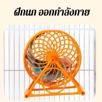 ราคา จักรวิ่งนก วงล้อวิ่งนกแก้ว ของเล่นนกแก้ว ฝึกวิ่ง ออกกำลังกายนก ฟอพัส หงษ์หยก เลิฟเบิร์ด ค๊อกคาเทล (22524762271)