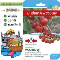 ราคา ผักซอง ศรแดง S084 มะเขือเทศ พวงชมพู เมล็ดพันธุ์ เมล็ดพันธุ์ผัก ผักสวนครัว (24527909012)