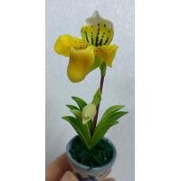 ราคา รองเท้านารี เหลืองกระบี่ ดอกไม้จิ๋ว งานประดิษฐ์ ทำจากดินไทย (2914796892)