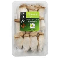 ราคา มายช้อยส์เห็ดนางรมหลวง 200ก My Choice King Oyster 200g (23091697507)
