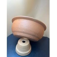 ราคา กระถางดินเผา กระถางแคคตัส (22865630321)