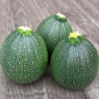 ราคา เมล็ดพันธุ์ ฟักทอง ซูกินี กลมเกรย์ Round Gray Zucchini Squash Seed 20 เมล็ด คุณภาพดี ของแท้ 100 (23646075701)