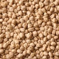 ราคา ChickpeasWhite ChanaKabuli Chana ถั่วลูกไก่ขาว 500g (16463075762)