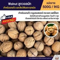 ราคา วอลนัท Walnut สำหรับนกแก้ว หนูแฮมสเตอร์ กระรอก แพรี่ด็อก และสัตว์ฟันแทะ แบ่งขาย 250G 500G 1KG (17359138343)