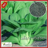 ราคา 1000 เมล็ด กวางตุ้งฮ่องเต้ใบเขียว ผักกาดฮ่องเต้ เมล็ดผักกาดฮ่องเต้ กวางตุ้งฮ่องเต้ เมล็ดกวางตุ้งฮ่องเต้ กวางตุ้ง เมล็ดกวางตุ้ง (23549230527)