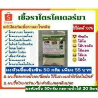 ราคา กำจัดเชื้อรา หัวเชื้อ ไตรโคเดอร์ม่า ขนาด 50 กรัม แก้โรคเน่า โรคราสนิม ใบไหม้ โรคแคงเกอร์ โรคกุ้งแห้งในพริก แอนแทรคโนส (7177220776)