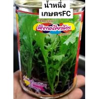 ราคา เมล็ดพันธุ์ ผักกาดเขียวน้อย ชุนฉ่ายใบสร้อย กลิ่นฉุน ใบสร้อยมีขนาดกลางใบไม่ค่อยใหญ่จนเกินไป 1ป๋องบรรจุ50กรัม (16520878450)