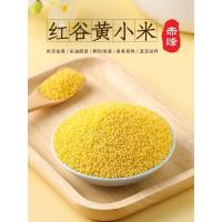 ราคา ข้าวฟ่าง ข้าวฟ่างแกะเปลือก พร้อมส่ง 优质小米 ขนาด500g นิยมนำไปต้มโจ๊กข้าวฟ่าง ขนม ข้าวฟ่างเปียก (12509440733)