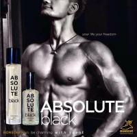 ราคา น้ำหอมพร้อมส่ง BONSOIR ABSOLUTE BLACK PERFUME SPRAY แบล็ค (1872112940)