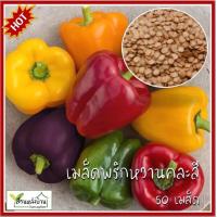 ราคา 50 เมล็ด พริกหวานคละสี เมล็ดพริกหวานคละสี เมล็ดพริกหวาน พริกหวาน พริกหวานสีม่วง พริกหวานสีเหลือง พริกหวานสีส้ม (17451996748)