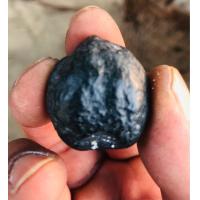 ราคา ลูกกัลปังหาดำหรือลูกสะดือทะเล หายาก จากทะเลอันดามัน ความเชื่อ ทางใต้ฝั้งอันดามัน นำไปทำแหวนหรือพกพาหรือหุ้มทำกำไลข้อมือ ป้องกันสิ่งชั่วร้ายไม่ดีจากทะเลหรือน้ำ 1ลูก50บาท (17946618145)