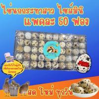 ราคา ไข่นกกระทา เก็บใหม่สดทุกวัน ไข่ไซส์มินิ ไข่นกสาว ไข่นกออกใหม่ จำนวน 50 ฟอง (24530376479)