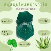ราคา สบู่สมุนไพรล้างหน้า ใบบัวบกว่านหางจระเข้ (22784458497)