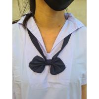 ราคา คอซองนักเรียน คอซองหูกระต่าย คอซองนักเรียนสีกรมเข้ม คอซองกรมอ่อน แบบกระดุม โบว์นักเรียน คอซองประถมและมัธยม พร้อมส่งจากกรุงเทพ (18119308511)