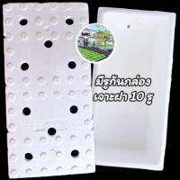 ราคา กล่องโฟมปลาแซลมอนมือ2 กล่องโฟม ลังโฟม กล่องเก็บความเย็น กล่องโฟมเก็บความเย็น foam cooler box ปลูกผัก (22220339639)