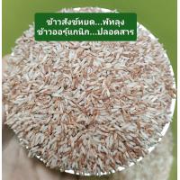 ราคา ข้าวสังข์หยดพัทลุง ข้าวออร์แกนิก ปลอดสาร กลิ่นหอม นุ่ม (23496190466)