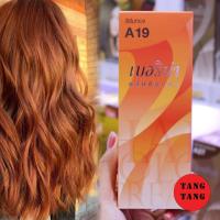 ราคา Berina Hair Color A19 สีส้มทอง สีผมเบอริน่า เปล่งประกาย ติดทนนาน ครีมเปลี่ยนสีผม สีแฟชั่น ปริมาณ 60 ml (18094690223)