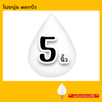 ราคา โฟมพุ่ม แพ็คใส่กล่อง โฟมสำเร็จรูป จัดพาน ขนาด 4 12 นิ้ว (22594524679)