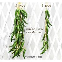 ราคา พริกพวง กระเทียม หอมแดง ผักปลอม ข้าวโพดปลอม อาหารแห้ง สำหรับแขวน ตกแต่งร้านอาหาร แต่งบ้าน แต่งร้านค้า (22700347261)