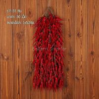 ราคา อาหารแห้งปลอม กระเทียม หอมแดง ผักปลอม ข้าวโพดปลอม แบบแขวน ข้าวโพด พริก สำหรับตกแต่งร้านอาหาร แต่งบ้าน แต่งร้านค้า (16132301711)