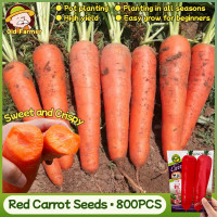 ราคา 1000เมล็ด แพ็ค เมล็ดพันธุ์ แครอท สีแดง Red Carrot Seeds Organic Vegetable Seeds เมล็ดแครอท เมล็ดพันธุ์ผัก ผักสวนครัว เมล็ดพันธุ์พืช พันธุ์ผัก เมล็ดผัก ผักออแกนิค พันธุ์ผัก เมล็ดผัก ผักออร์แกนิก เมล็ดผ