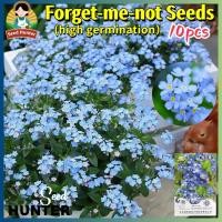 ราคา เมล็ดพันธุ์ ฟอร์เก็ตมีน็อท Forget Me Not Flower Seed 10เมล็ด แพ็ค ของแท้ 100 ปลูกง่าย อัตรางอกสูง เมล็ดพันธุ์ ดอก ฟอร์เก็ตมีน็อต อย่าลืมฉัน ทนร้อน เมล็ดดอกไม้ ต้นไม้มงคล บอนสี บอนไซ ต้นไม้ ไม้ประดับมง