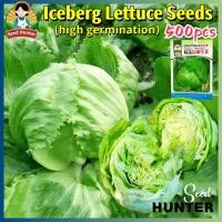 ราคา เมล็ดพันธุ์ ผักสลัด ไอซ์เบิร์ก สลัดแก้ว Iceberg Lettuce Seeds 500เมล็ด แพ็ค ของแท้ 100 ปลูกง่าย อัตรางอกสูง ผักสลัด ผักสลัดยอดนิยม ผักกาดหอม Crispy Lettuce Vegetable Seeds ผักออร์แกนิก เมล็ดพันธุ์ผัก 