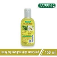 ราคา Natural Essences แชมพูสมุนไพร ช่วยฟื้นฟูผมแตกปลาย ผมร่วง ให้แข็งแรงสุขภาพดี สูตรมะกรูด ผสมตะไคร้ (14577809749)