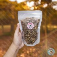 ราคา หนอนนกอบแห้ง MEALWORM หนอนนก แมลง แมลงอบแห้ง อาหารแห้ง กิ้งก่า เม่นแคระ ชูการ์ กระรอก ดอร์เมาส์ แฮมสเตอร์ เบี๊ยด นก (23925856857)