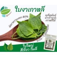 ราคา เมล็ด ใบงาเกาหลี ใบงาเขียว ใบงาแดง จำนวน 1100 เมล็ด นำเข้าจากเกาหลีใต้ (10494783982)