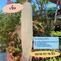 ราคา ใยบวบ 38 45 เซนติเมตร ใยบวบท่อนยาว ใยบวบอาบน้ำ ขัดผิว ขัดตัว ใยบวบธรรมชาติใยบวบออร์แกร์นิก (22617224215)