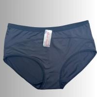 ราคา AP PP 737 ไซส์ใหญ่ กางเกงใน กางเกงชั้นใน เอวสูง กางเกงในคนอ้วน sisterhood Sister hood (21491274342)