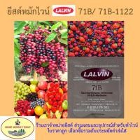 ราคา ยีสต์ หมัก ไวน์ ทำไวน์ lalvin 71B 71B 1122 (676642121)
