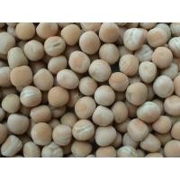 ราคา Dry White Peas ถั่วลั่นเตาขาวแบบแห้ง 500g (12166329587)