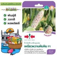 ราคา SORNDAENG ผักซอง ศรแดง S039 ข้าวโพดข้าวเหนียว เหนียวหวานทับทิม F1 เมล็ดพันธุ์ ข้าวโพด เมล็ดพันธุ์ผัก ผักสวนครัว ผักศรแดง (4473370502)