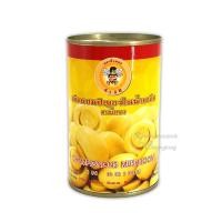 ราคา เห็ดแชมปิญองกระป๋อง ตราผึ้งทอง SIZE SM (13570690348)