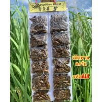 ราคา สินค้าแบบแผง 12 ห่อ ถั่วทอด ถั่วเหลือง ถั่วลันเตา ถั่วปลาอ้า ถั่วกรอบแก้ว ถั่วตัด ธัญพืช (24494065588)