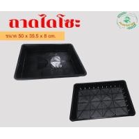 ราคา ถาดไดโซะ ถาดพลาสติกกะบะ ถาดเพาะกล้า ถาดใส่กระถางแคคตัส ถาดเพาะต้นอ่อนทานตะวัน ถาดเพาะ (12214579817)