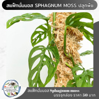 ราคา สแฟ็กนั่มมอส Sphagnum moss ปลูกพืช กล่องละ 50 บาท (24344786732)