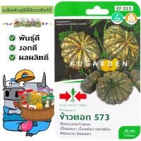 ราคา SORNDAENG ผักซอง ศรแดง S015 ฟักทอง ข้าวตอก573 F1 เมล็ดพันธุ์ เมล็ดพันธุ์ลูกผสม เมล็ดพันธุ์ผัก ผักสวนครัว ผักศรแดง (4693052612)